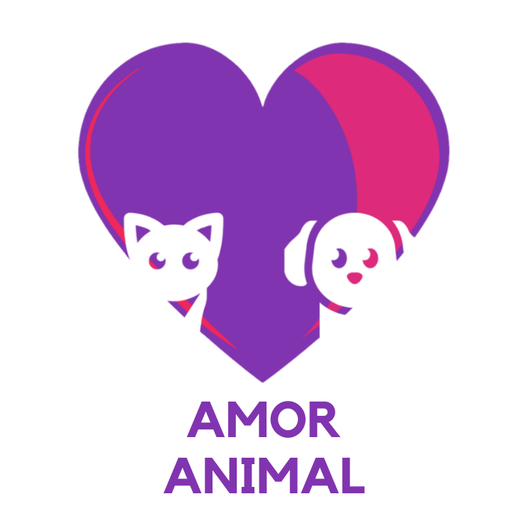 Centro adopcion amor animal